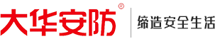 大华安防
