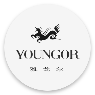 服装—雅戈尔
